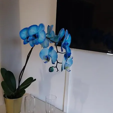 Blu Marina Apartment *