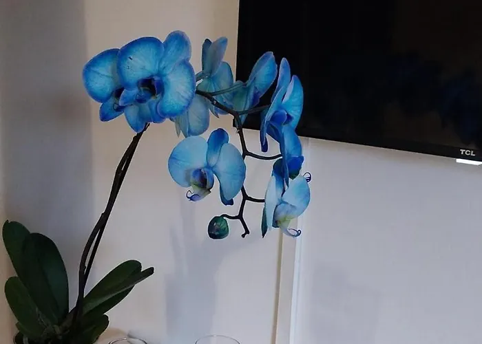 Blu Marina Lägenhet *